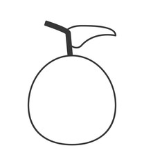 flat design whole tomato icon vector illustration