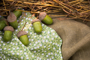 the first crop of acorns © helgadnepr