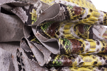Python snakeskin leather background, snake skin, texture, animal, reptile