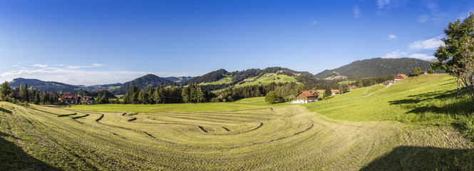 Haymaking at Oberstaufen Steibis with Panorama View of the Allgäu Mountains 

