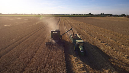 Aerial View As Tractor Collects Wheat From Combine Harvester