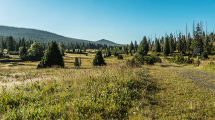 View on Lusen hill in the Bavarian Forest from Breznik in Sumava, South Bohemia, 1.373m