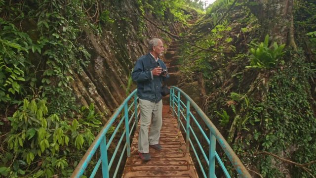 Man Stands on Small Wooden Bridge Photos Landscape of Park