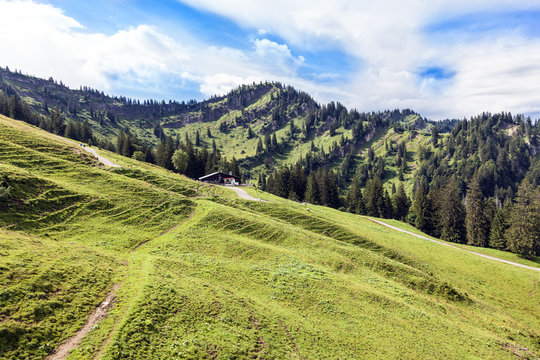 Panorama View from the Hochgratbahn, Nagelfluhkette Allgäu, Alpen, Germany