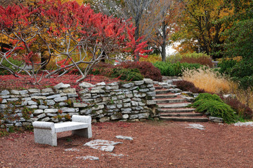 Garden In Autumn