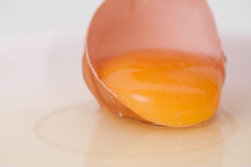 broken egg on white background close up