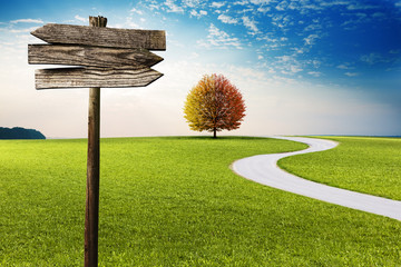 Weg durch Landschaft