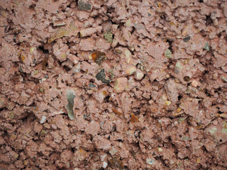 texture pink foam block