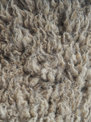 fleece structure