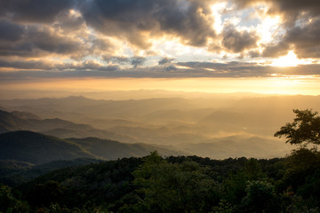 Obraz premium In the evening