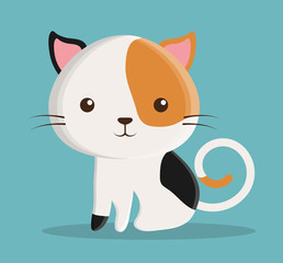 cat cartoon pet animal con. Colorful and flat design. Vector illustration