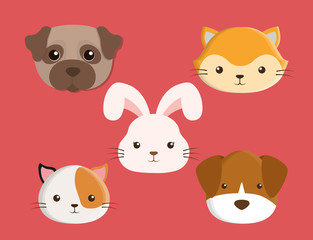 cats dogs rabbit cartoon pets animals con. Colorful and flat design. Vector illustration