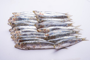 Fresh raw sardines isolated on white background