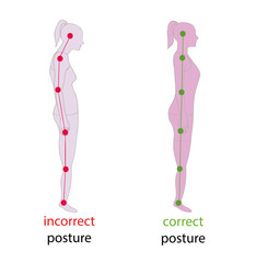 Correct alignment of human body in standing posture for good personality and healthy of spine and bone. Health care and medical illustration