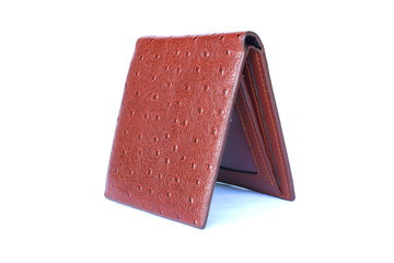 brown wallet leather skin on isolated