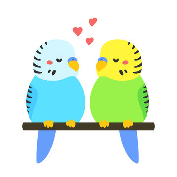 Cartoon Parakeets couple
