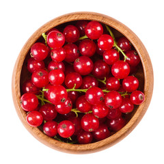 Redcurrant berries in a wooden bowl on white background, also called red currant. Ripe fruits of Ribes rubrum in the gooseberry family. Edible, raw, organic, vegan food. Isolated macro photo close up.