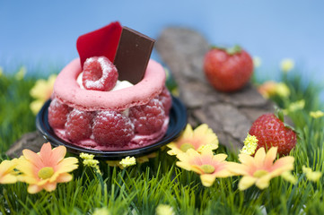raspberries macarron mini cake