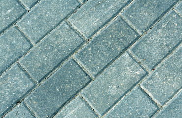 Close-up of grey pavement cobble stones.