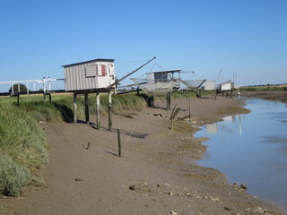 de Saujon à L'Eguille sur Seudre