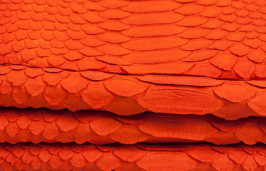 Python snakeskin leather background, snake skin, texture, animal, reptile