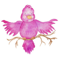 Pink Bird Birds watercolor Hand-painted illustration isolated cute Kids Sweet Baby Invitation Card Bright Colorful