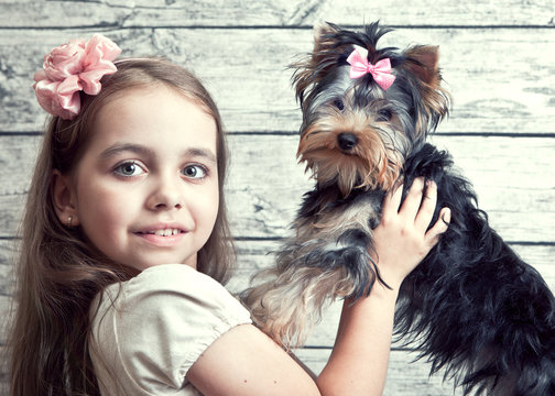 Girl holding hands dog Yorkshire Terrier