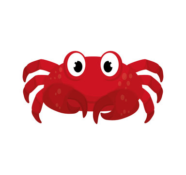 crab sea life animal cartoon icon. Isolated and flat illustration. Vector graphic