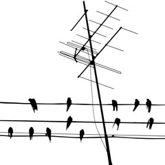 Vector illustration with silhouette of birds on wire and antenna