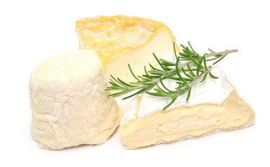 Käse Schimmel