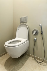 toilet with bidet in the bathroom