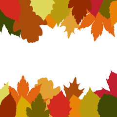 Autumn leaves frame. Vector illustration.
