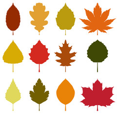 Autumn leaves symmetric silhouette set. Vector illustration.