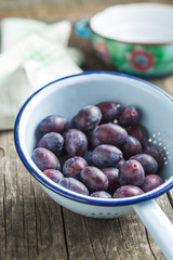 Fresh plums from garden in colander.