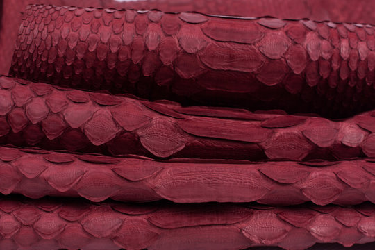 Python snakeskin leather background, snake skin, texture, animal, reptile

