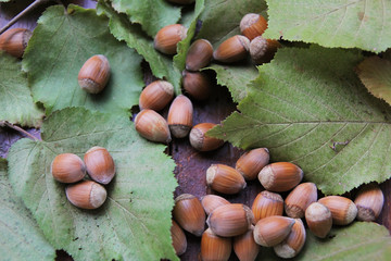 Hazelnuts