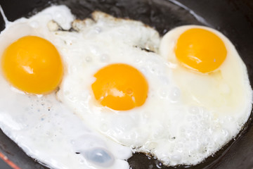 Fried egg in a frying pan