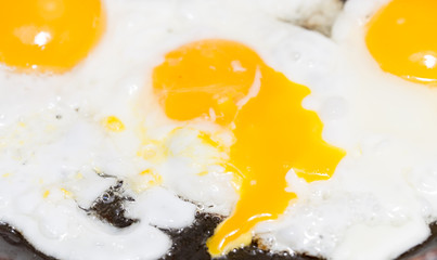 Fried egg in a frying pan