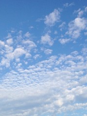lightblue sky and clouds
