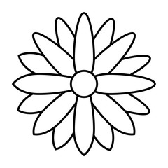 elegant frame decoration isolated