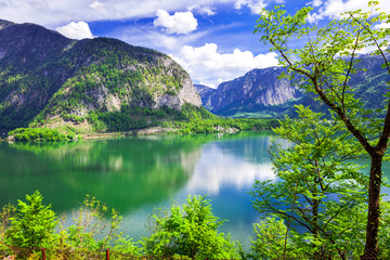 Fototapeta na wymiar beauty in nature - Alpine scenery and lake Hallstatt in Austria