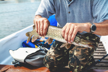 fisherman in boat holding pike