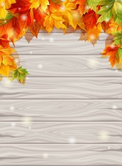 Naklejka na ściany i meble Autumn leaves on the background light wooden boards, maple leaves decoration design. Vector illustration