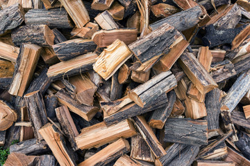 harvesting of wood for the heating season in winter, solid fuel