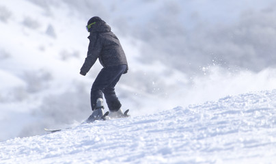 people skiing in the winter