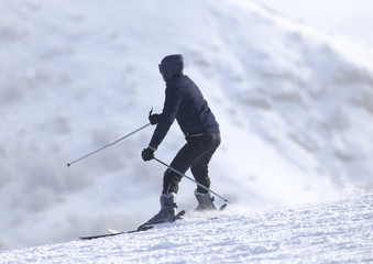 people skiing in the winter