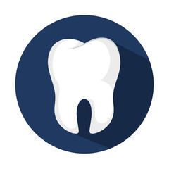 tooth human seal icon vector illustration graphic