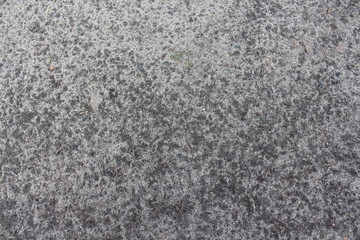 earth after rain background
