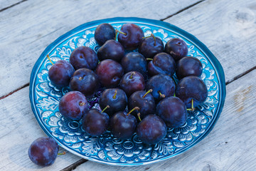 Fresh plums in a pretty dish on a picnic table.