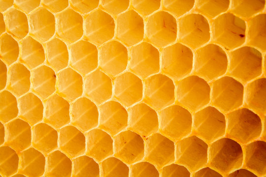 Natural honeycomb background. Close-up.